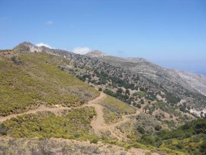 Naxos landskap